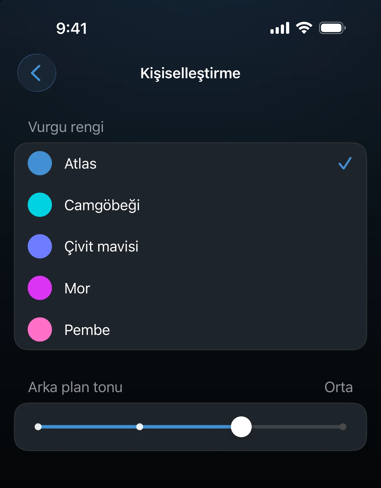 Vurgu renklerinin ve arka plan tonu kaydırıcısının bulunduğu Kişiselleştirme ekranı