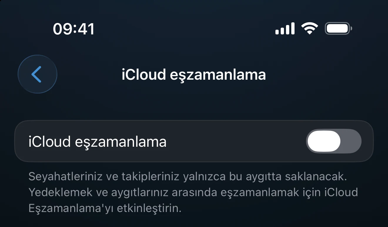 Durumu, son etkinliği ve veri sayısını gösteren iCloud eşzamanlama ayarları